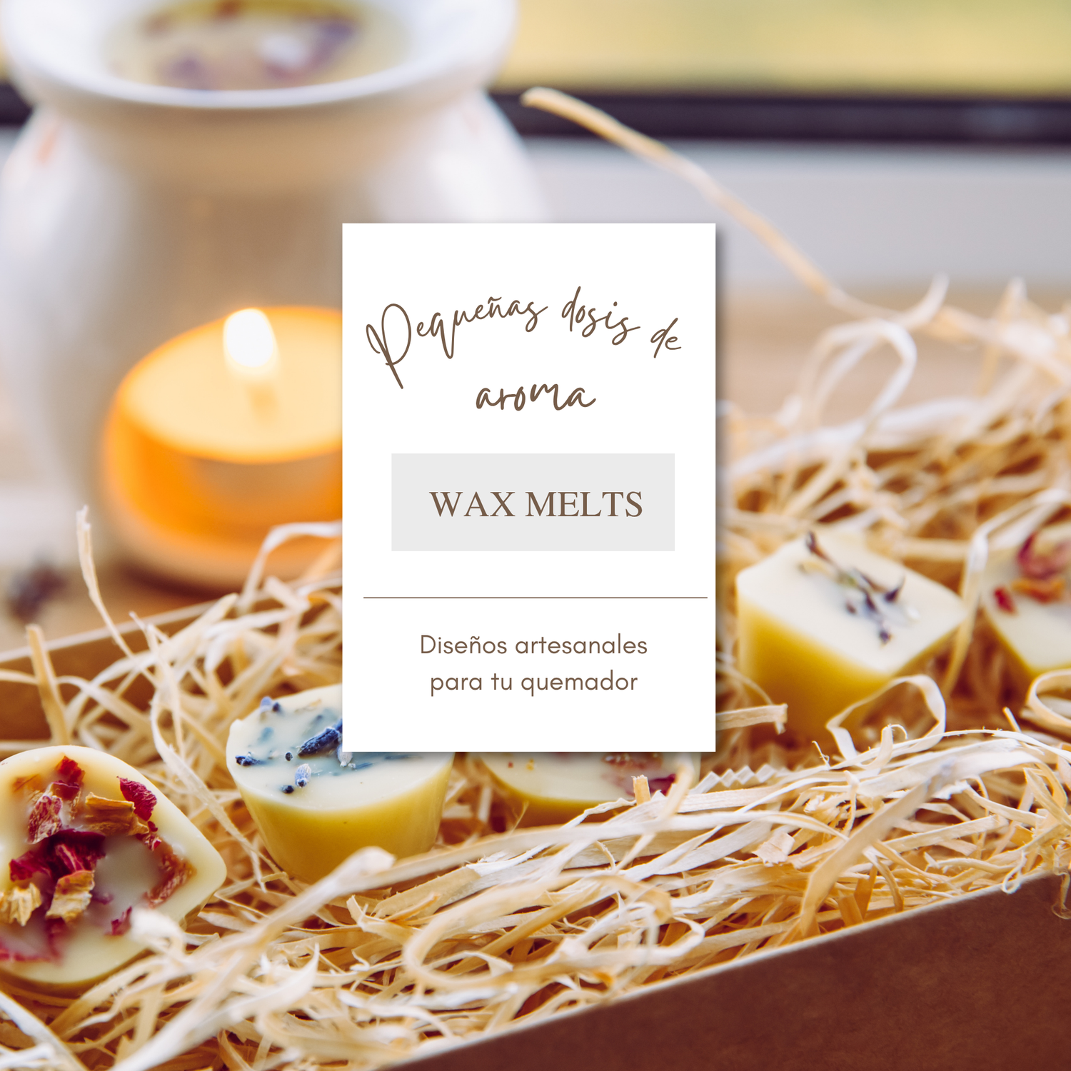 Wax Melts
