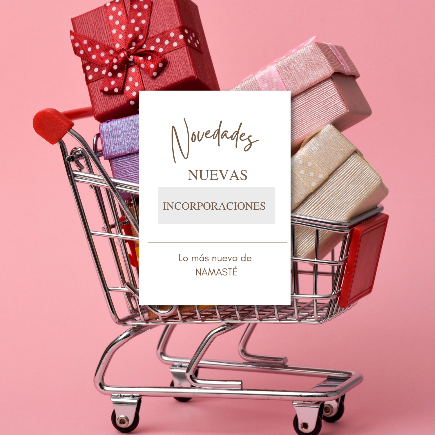 Novedades