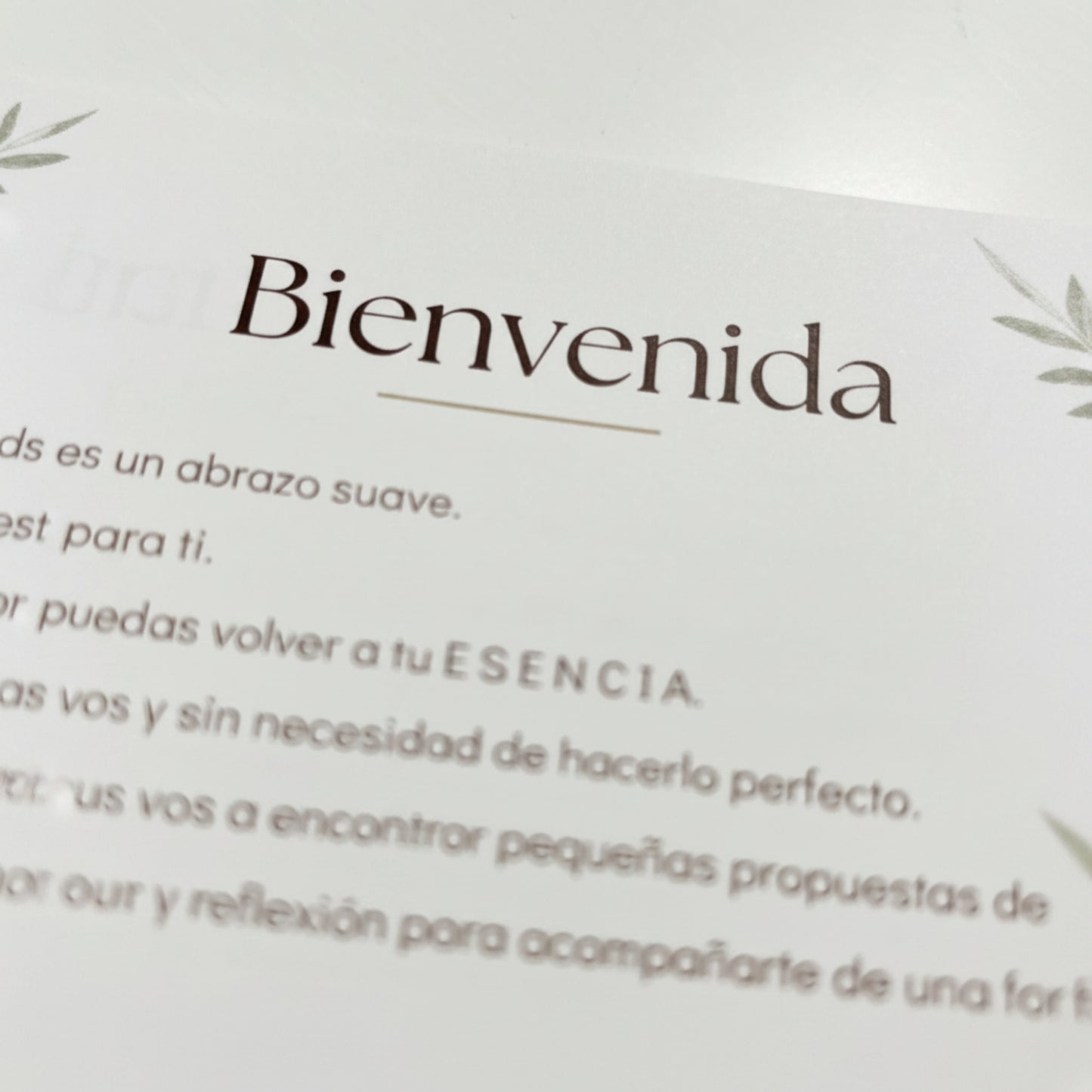 Journal E S E N C I A - 62 días contigo