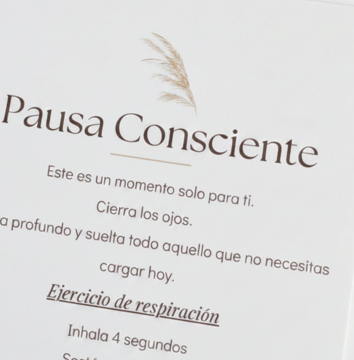 Journal E S E N C I A - 62 días contigo